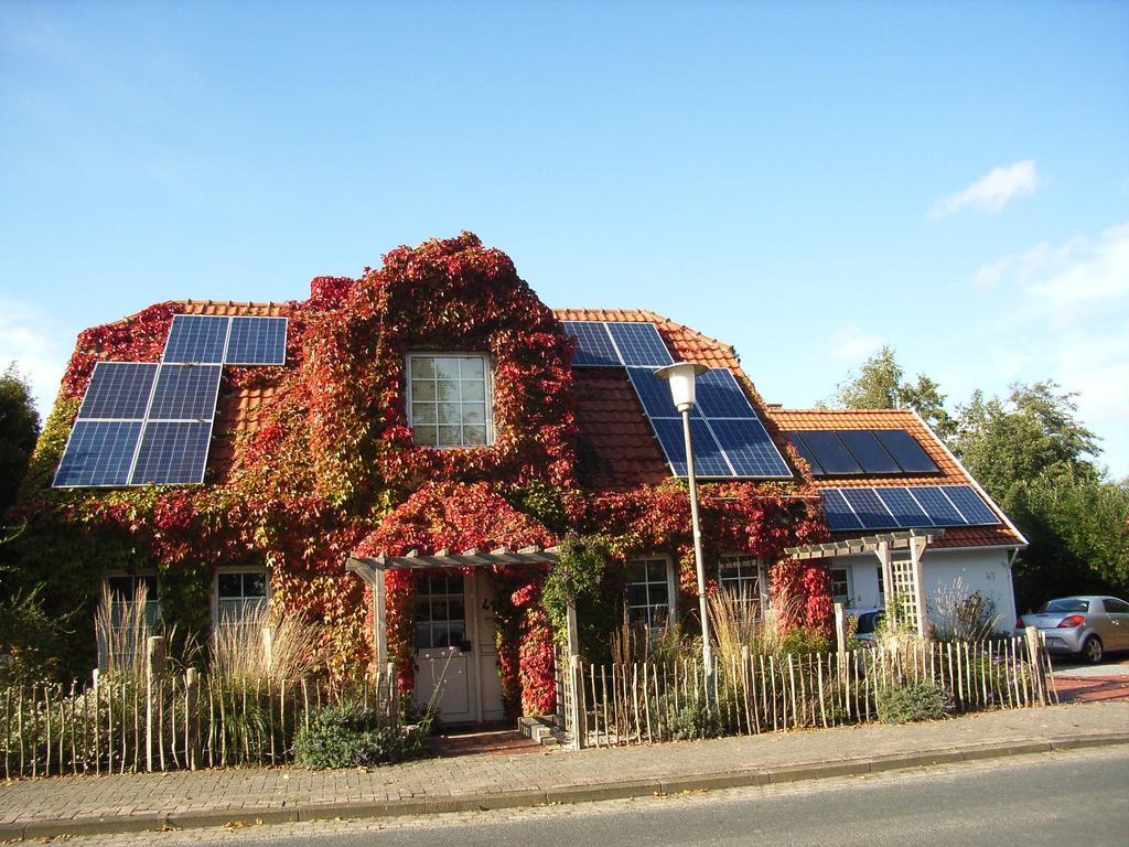 Ferienhaus Menschen, Meehr & Wilder Wein Hohenkirchen  Exterior photo