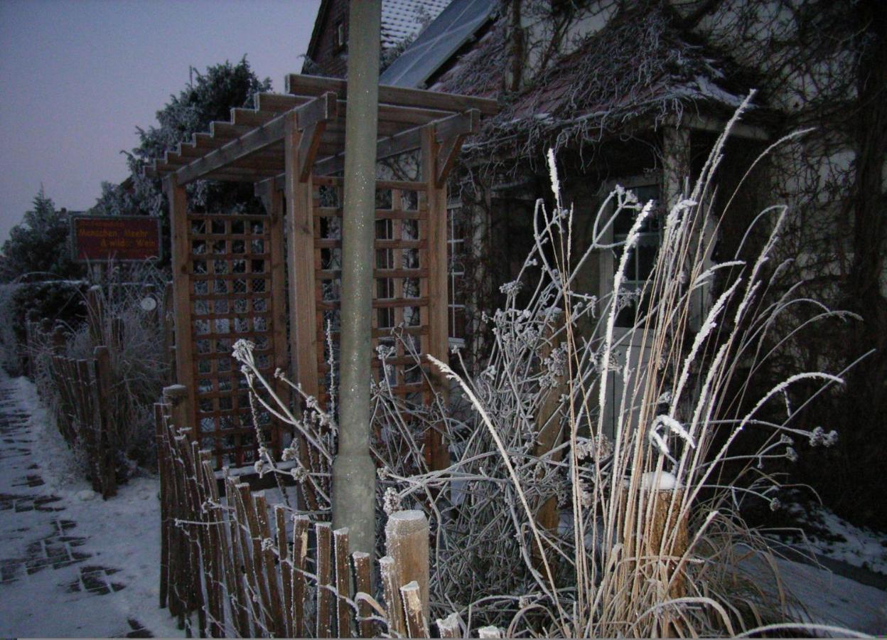 Ferienhaus Menschen, Meehr & Wilder Wein Hohenkirchen  Exterior photo